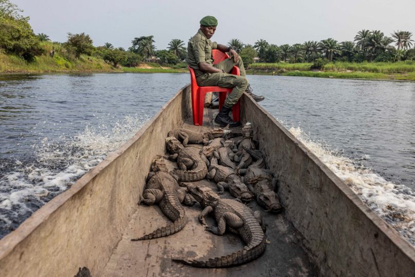 From polar bears to skateboarding rebels: The 2025 Sony World Photography Awards finalists unveiled 24 808x539 cmsv2 2cbaaf52 dfdd 5f10 bc94 6a1b27961ae8 9076220