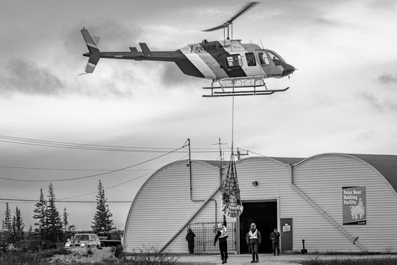 From polar bears to skateboarding rebels: The 2025 Sony World Photography Awards finalists unveiled 14 808x539 cmsv2 ae49371f fdc2 5da8 9ee7 4e5f05060a06 9076220
