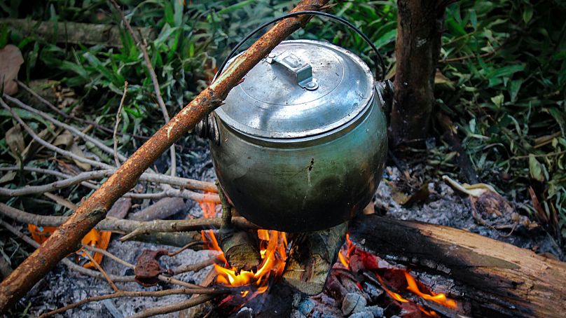 Regreso al fuego.