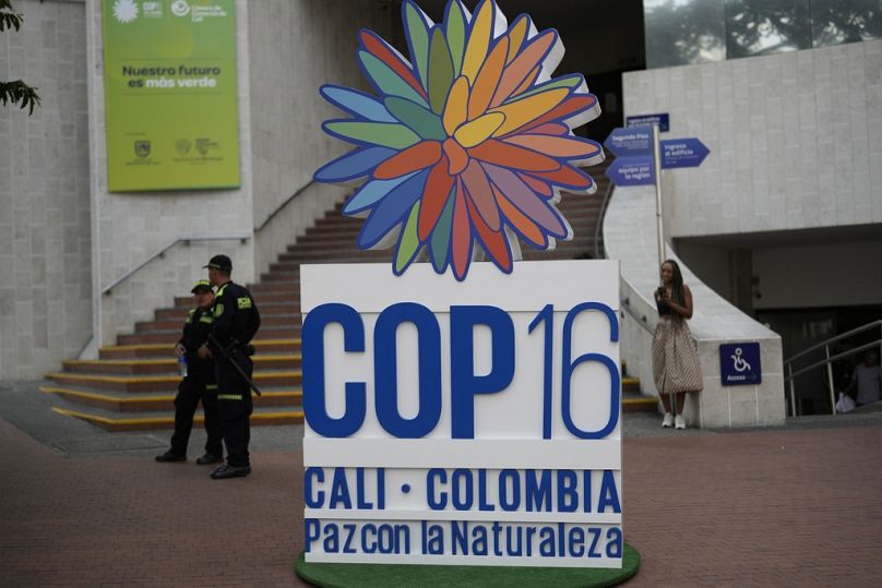 Police stand guard in front a hotel at COP16, the United Nations Biodiversity Conference, in Cali, Colombia, Saturday 19 October 2024.