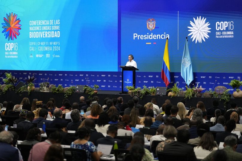 Colombia's President Gustavo Petro delivers a speech at the opening ceremony of COP16, a United Nations' biodiversity conference in October 2024.