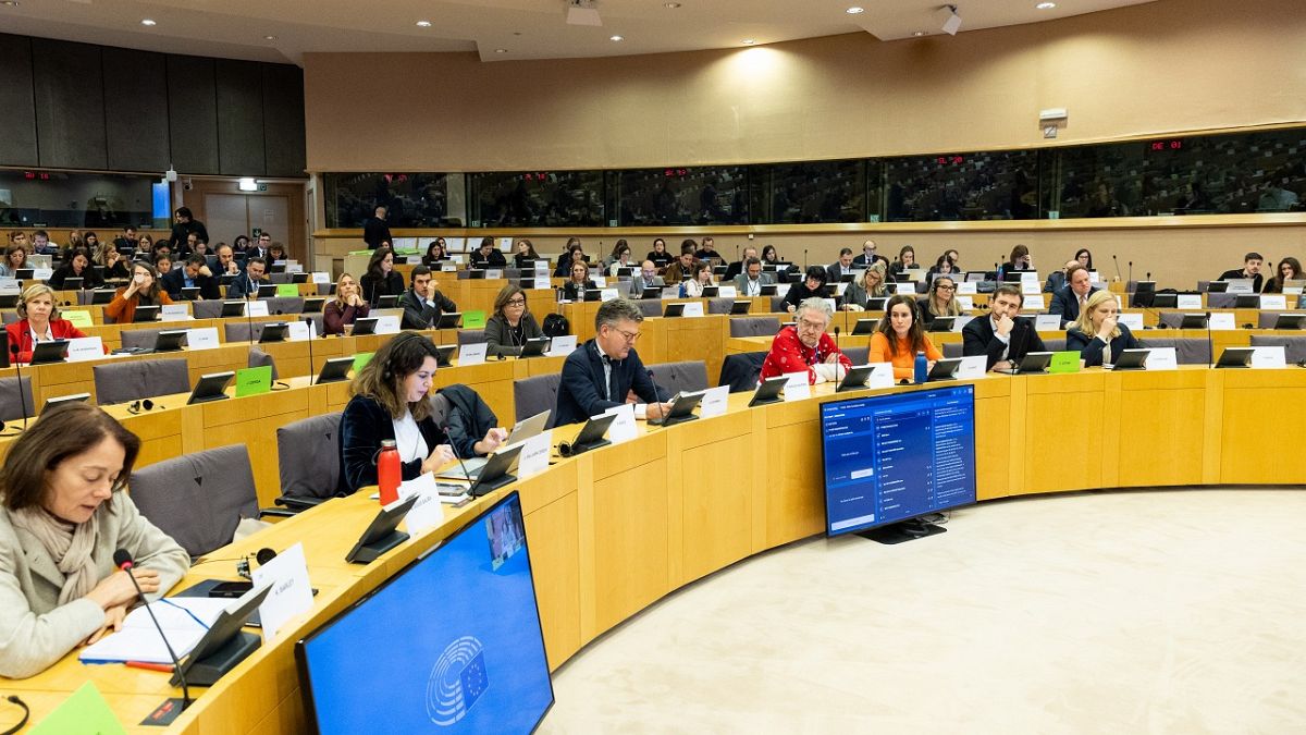 European Parliament to grill Commission over ditched AI liability rules