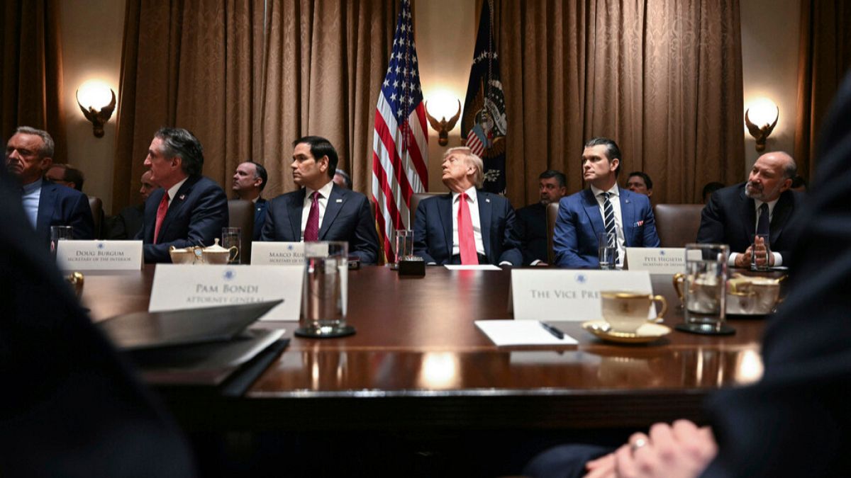 Donald Trump holds first Cabinet meeting with Elon Musk in attendance