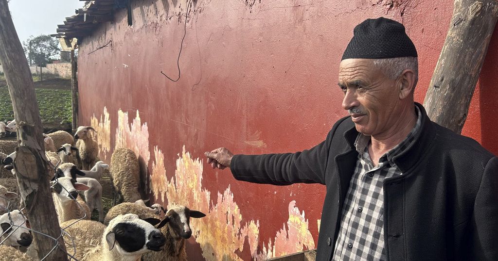 Amid drought, King urges Moroccans not to kill sheep for Eid al-Adha Amid drought, King urges Moroccans not to kill sheep for Eid al-Adha