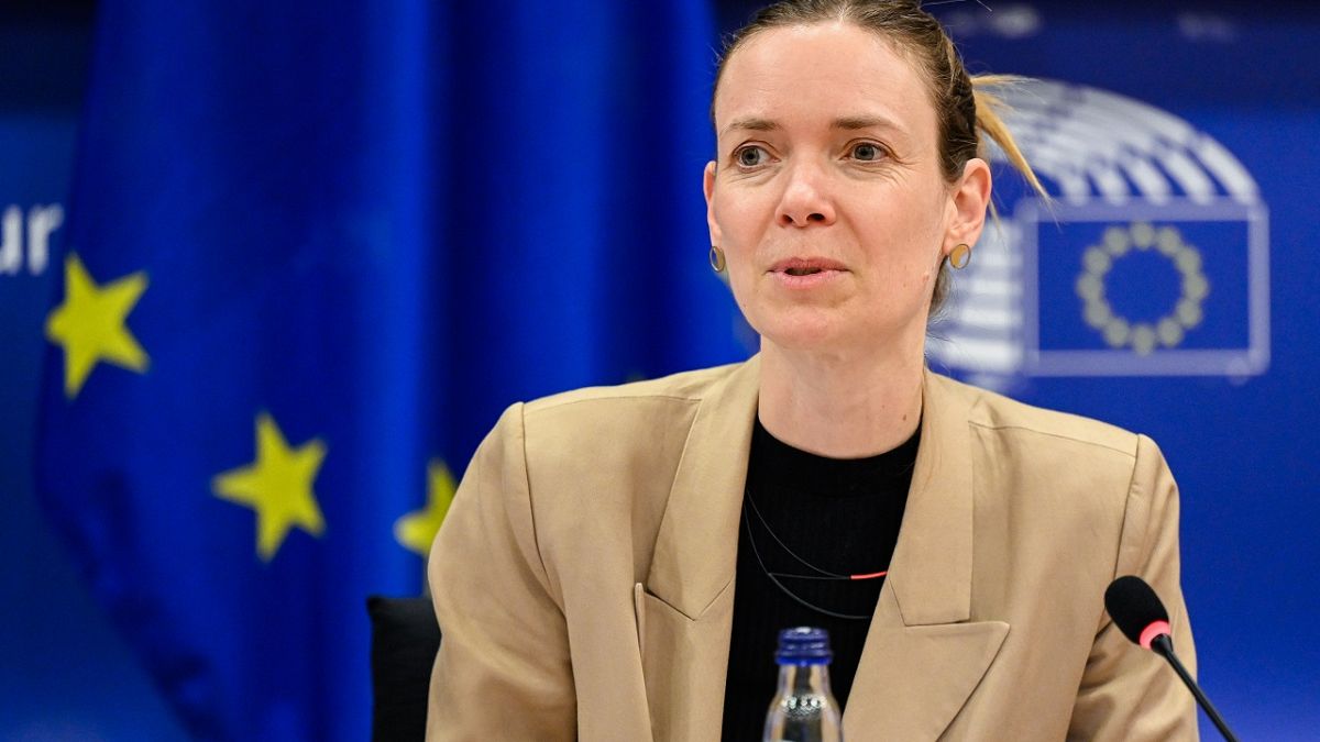 EU lawmakers claim US visit helped smooth differences on tech regulati