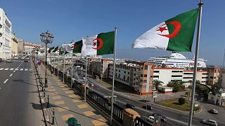 Algerian flags along seaside.