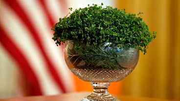 The bowl of shamrocks that was presented to President Donald Trump during the annual presentation in the East Room of the White House in Washington. 14 March 2019.