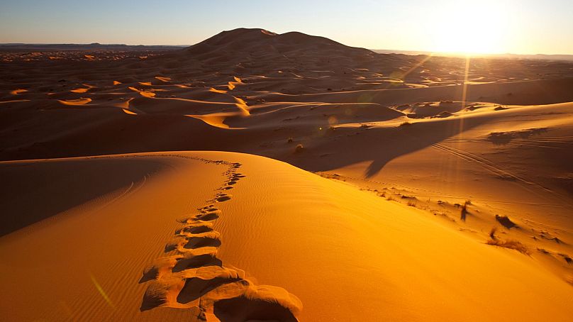 صحرای بزرگ آفریقا
