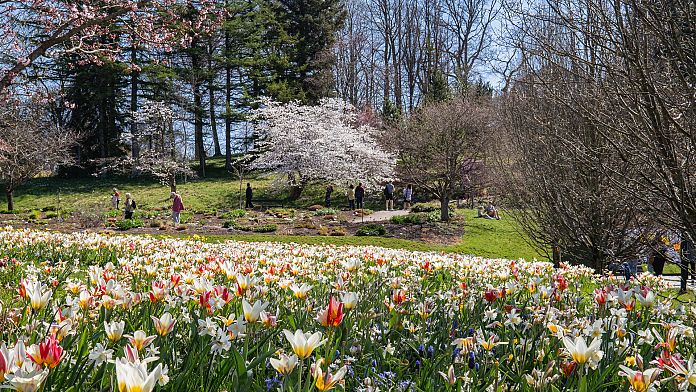 Festival, il sole dell'isola e le pause della città: dove viaggiare in Europa questa primavera 1 696x392 cmsv2 93133bd1 24ad 5e59 9792 4b82d916d906 9089992