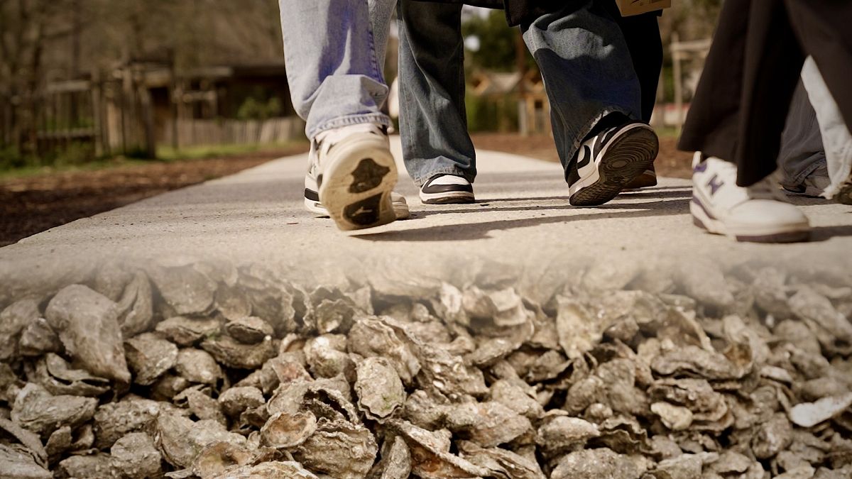 Nothing goes to waste: Coastal industries are upcycling oyster shells and old fishing nets