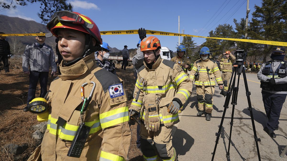 firefighters are walking down a path with cameras and equipment