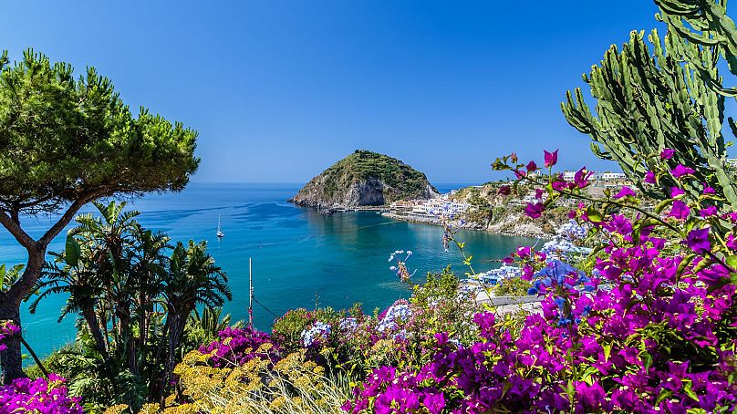 The pop of pink bougainvillea over the island of Ischia