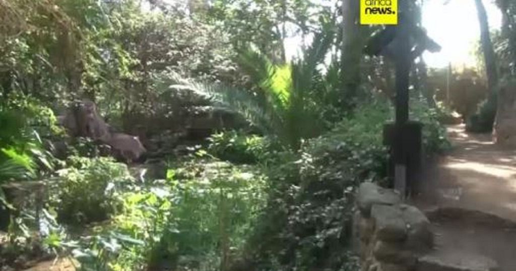 With 500 species, Moroccan exotic garden an oasis of biodiversity With 500 species, Moroccan exotic garden an oasis of biodiversity