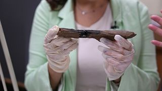 L'histoire méconnue des outils en os préhistoriques