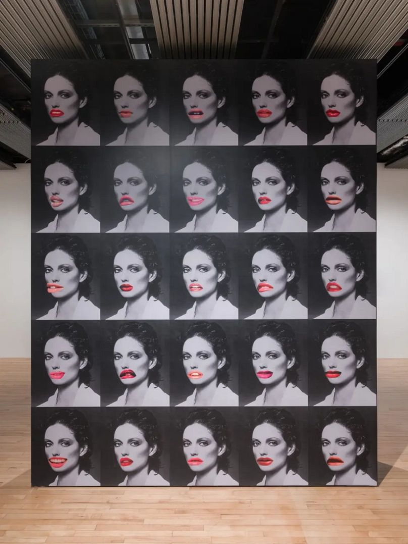  Installation view of Linder: Danger Came Smiling