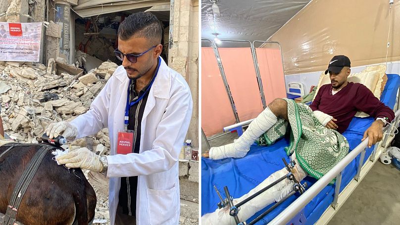 Gazze'deki Animal Heroes'un baş veterineri A'aed, ateşkesin başlamasından birkaç saat önce kalabalık bir pazar yerinde hava saldırısında vurularak yaralandı.