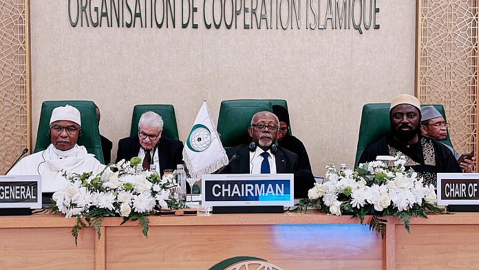 Paesi islamici contro Trump e a favore del piano arabo per Gaza, sì dei Paesi Ue