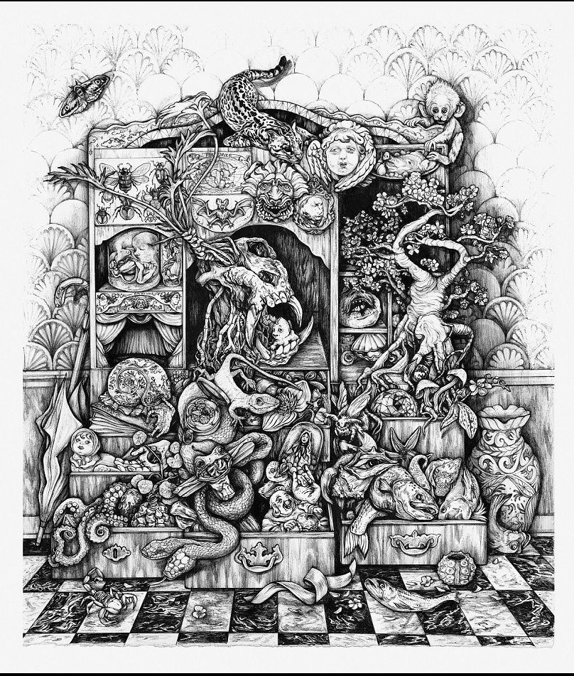 «A Cabinet of Curiosities»