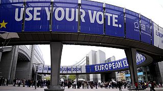 EU Parliament ethics system 'not fit for the job' - Alemanno