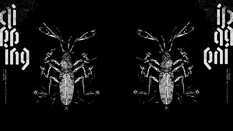 US porn star Whitney Wright causes uproar after visit to Iran | Euronews