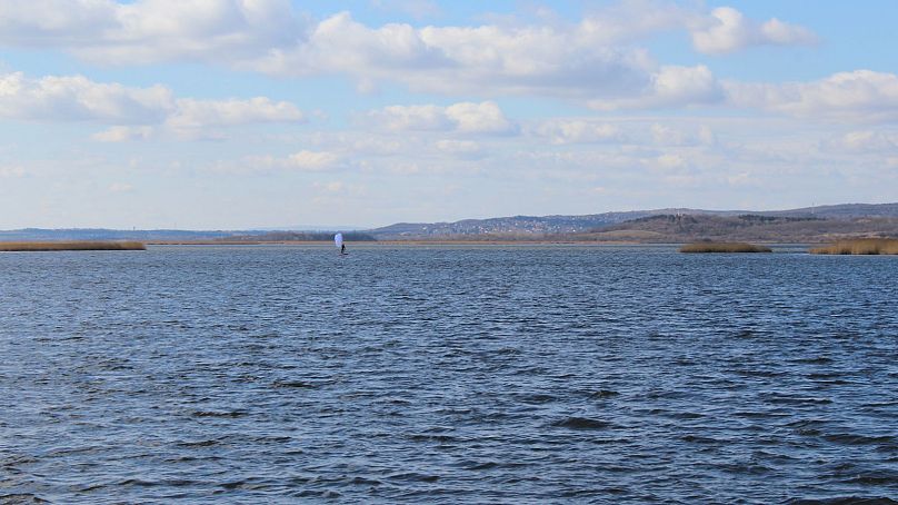  Lake Velence is home to many bird species including the Purple Heron and Moustached Warbler, as well as otters and frogs.