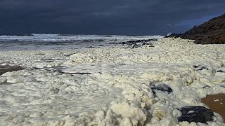 Esta imagen, tomada de un video proporcionado por la Corporación de Radiodifusión Australiana, muestra espuma lavándose en la playa, en Waitpinga, cerca de Adelaida.