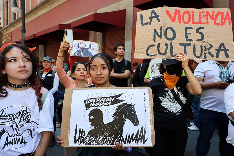 People demonstrate against bullfighting with signs that read in Spanish ‘Human liberation. Animal liberation,’ in Mexico City, 18 March, 2025