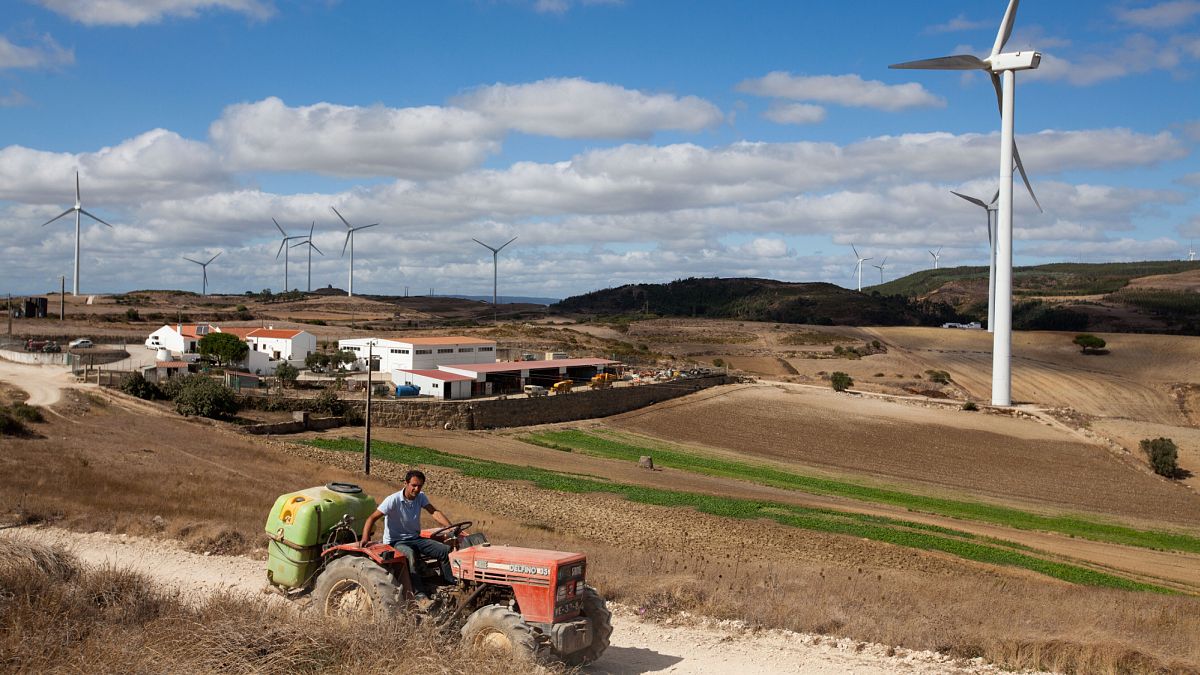 Portugal Sets New Wind Power Record Amid Storm Martinho's Fury