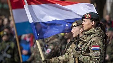 Des soldats de l'armée néerlandaise participent à la célébration du 20e anniversaire de l'adhésion de la Lituanie à l'OTAN sur la place S. Daukantas. Des soldats de l'armée néerlandaise participent à la célébration du 20e anniversaire de l'adhésion de la Lituanie à l'OTAN sur la place S. Daukantas.