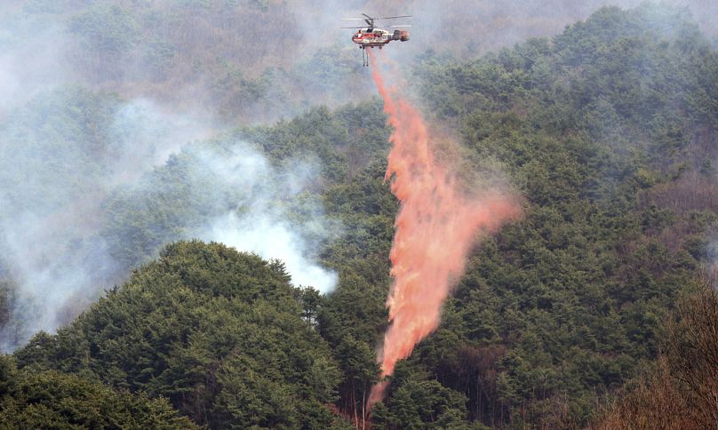 Sancheong'daki yangına müdahale eden bir helikopter, 25 Mart 2025