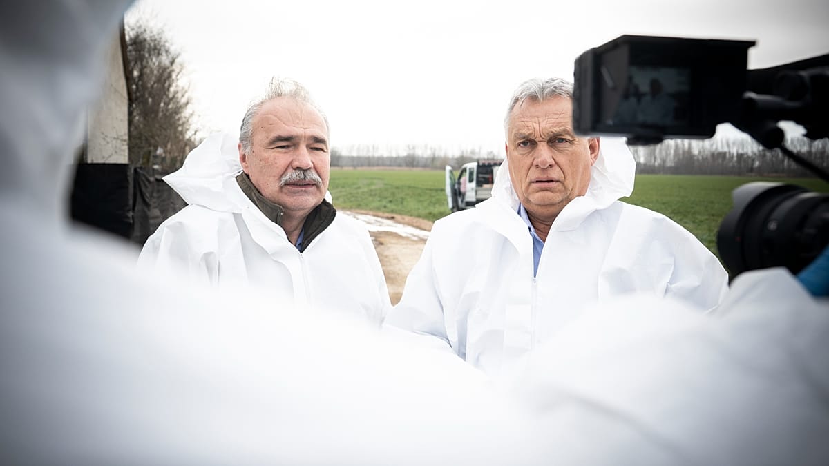 Ragadós száj- és körömfájás vírusjárvány terjed Győr-Moson-Sopron megyében
