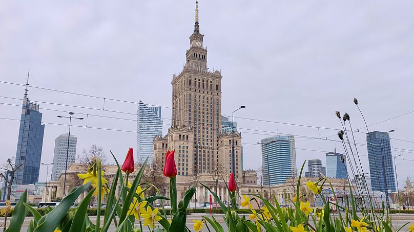 Kwiaty kwitną w kwietniu, niedaleko pałacu kultury w Warszawie.
