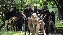 RDC : des marionettes pour sensibiliser au réchauffement climatique