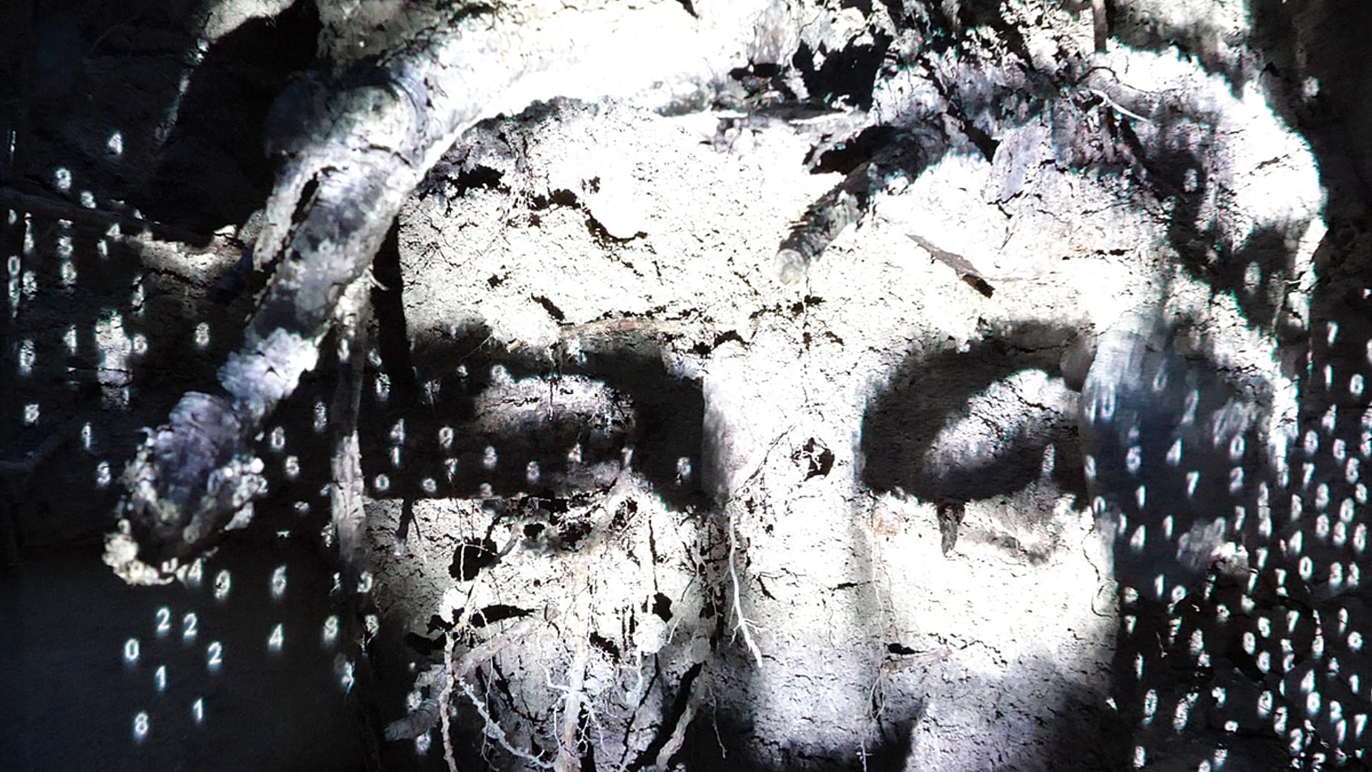 Video. The Garden of Pythia: Greek oracles, art and artificial ...