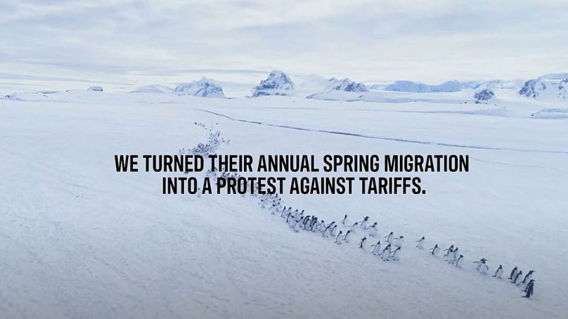 Penguin ‘protest march’ against Trump’s tariffs coming this week 1 808x454 cmsv2 357f4fdd 9f34 5b2e 9860 1ad7706a11c1 9198994