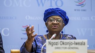 DTÖ Genel Direktörü Ngozi Okonjo-Iweala Çarşamba günü 2025 yılına ilişkin dünya ticaret tahminlerini sunarak önemli aksaklıklara işaret etti.