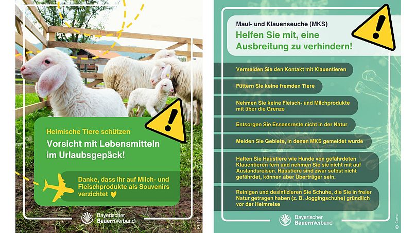Der Bayerische Bauernverband warnt vor Kontakt mit Maul- und Klauenseuche bei Urlauben.