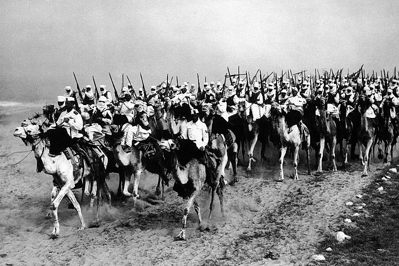 شترها در لیبی 