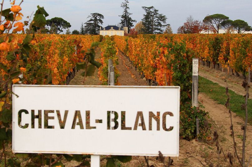 Les vignobles du prestigieux Cheval Blanc à Saint Emilion, en 2015