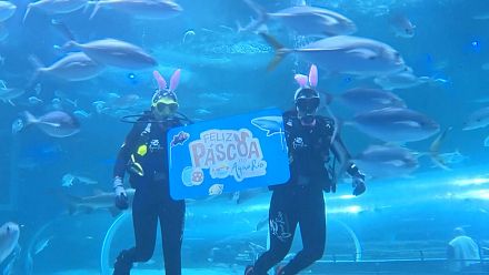 Des œufs de Pâques pour les poissons de l’aquarium de Rio