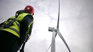 L'Europe se tourne vers l'éolien offshore pour assurer sa sécurité énergétique et économique