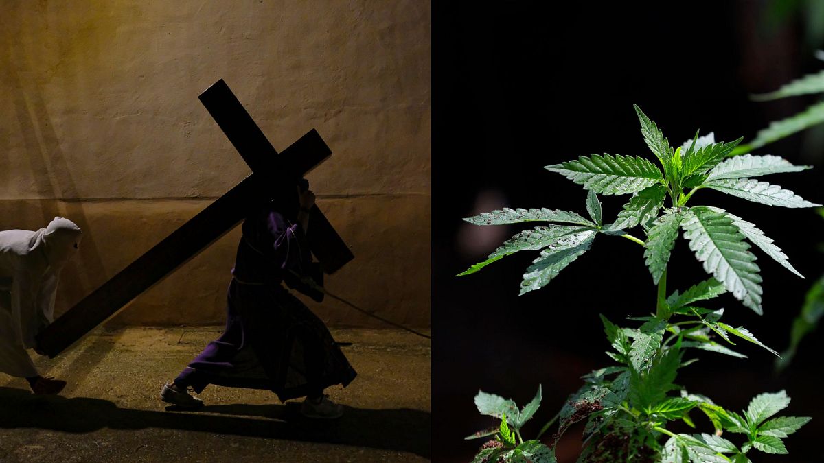 En 2025, la journée internationale du cannabis coïncide avec Pâques