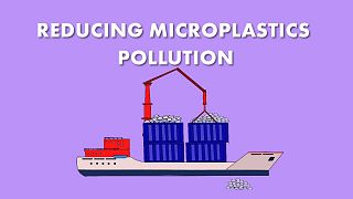 Will companies cut down on microplastic pollution?