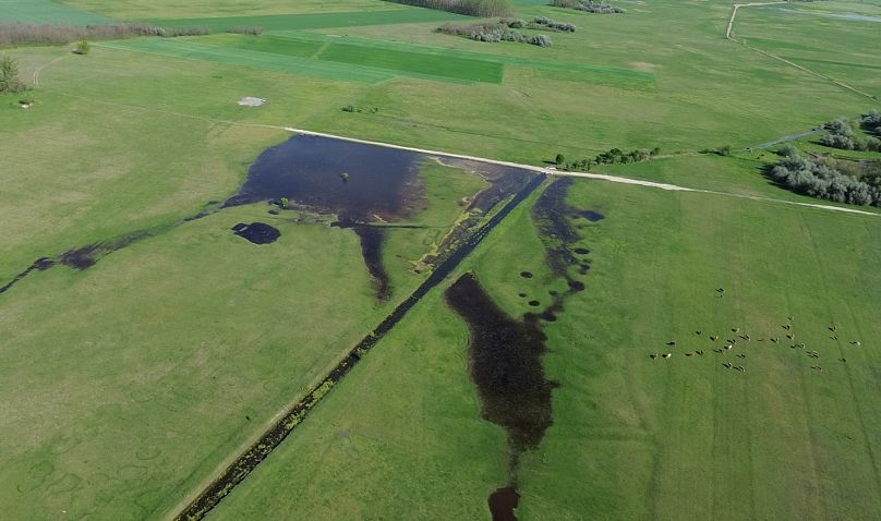 Una vista de pájaro del campo inundado