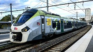 In 2023, France introduced a ban on domestic short-haul flights where there is a rail alternative of under two and a half hours.