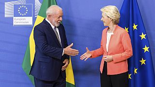 Brezilya ve diğer Mercosur ülkeleri Aralık 2024'te AB ile bir serbest ticaret anlaşmasına vardı.