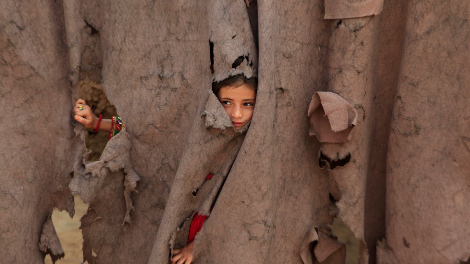 دختری پناهجوی افغان از پشت پردهای پاره شده به ورودی خانهاش در اردوگاه پناهندگان کابابایان در پیشاور، پاکستان، هشتم آوریل ۲۰۲۵ نگاه میکند دختری پناهجوی افغان از پشت پردهای پاره شده به ورودی خانهاش در اردوگاه پناهندگان کابابایان در پیشاور، پاکستان، هشتم آوریل ۲۰۲۵ نگاه میکند