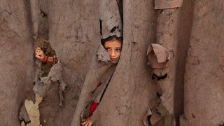 An Afghan refugee girl peers through a torn curtain at the entrance of her home at Kababayan refugee camp in Peshawar, Pakistan, April 8, 2025. 