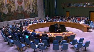 United Nations Security Council Session on the Middle East, United Nations, Tuesday, April 29, 2025