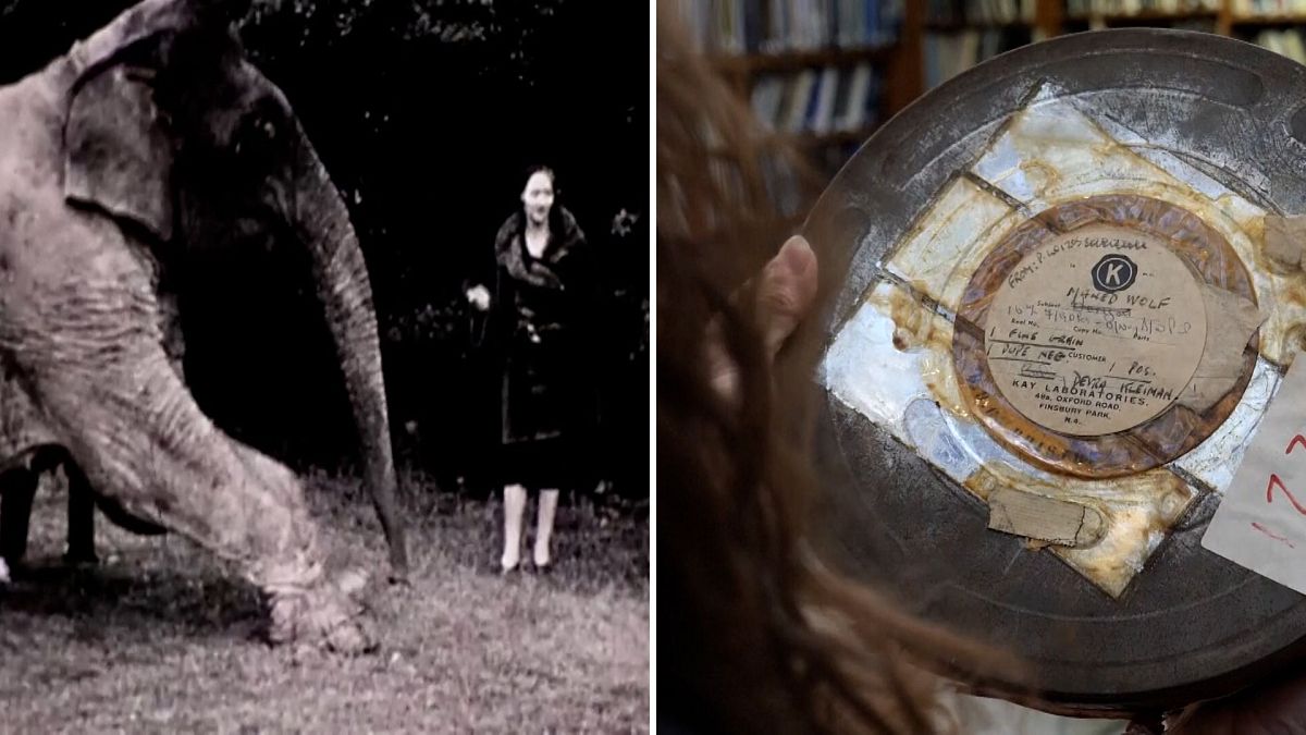 ZSL discovers forgotten wildlife film reels dating back 80 years: Can you help save them?